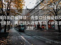蜂鸟影院像排错：先查口径有没有交代清楚，再把镜头选择写明（读完更清醒）