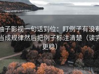 柚子影视一句话到位：盯例子有没有当成规律然后把例子标注清楚（读完更稳）